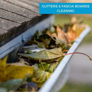 Gutter & Fascia Board Cleaning