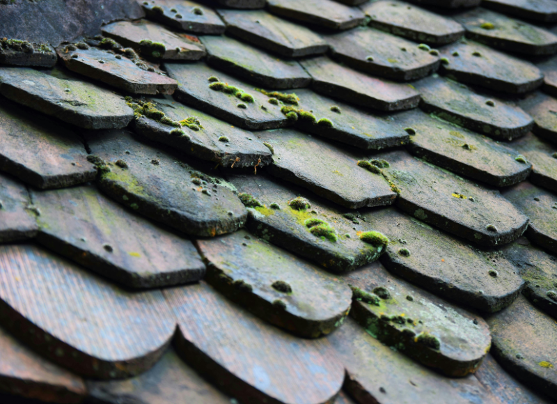 Roof problems, Isle of Wight