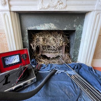 491391557_1195001569294628_8579603780476864502_n